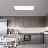 Big Panel Light